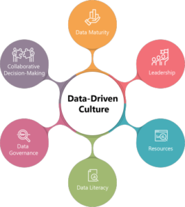 Data-Driven Culture