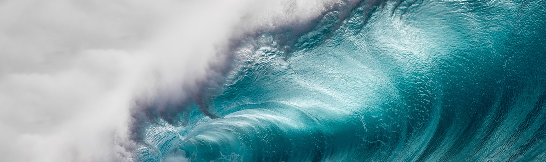 Course5 Intelligence Recognized as a ‘Strong Performer’ in The Forrester Wave™: Customer Analytics Service Providers, Q3 2021 Report