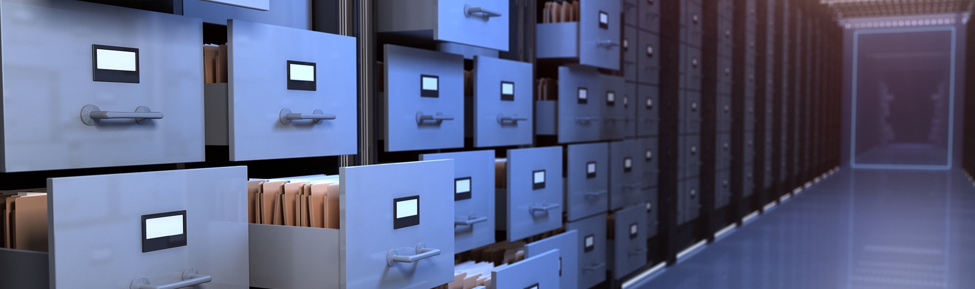 The Data-Driven Organization: Successfully Integrating Analytics into the Organizational Framework