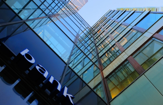 Voice of the Customer Insights for a Banking Organization